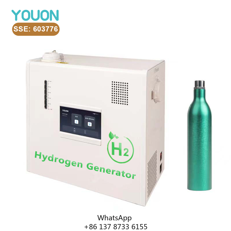 40L/h Hydrogen Generator Low-p - Renewable Energy Technology avis et prix