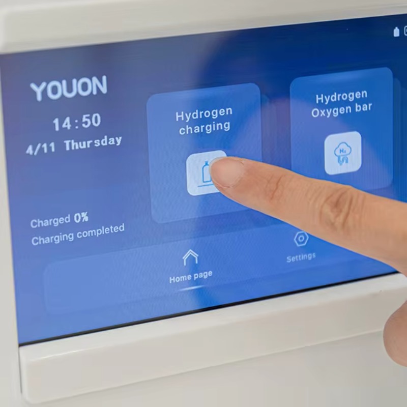 40L/h Hydrogen Generator Low-p - Renewable Energy Technology avis et prix
